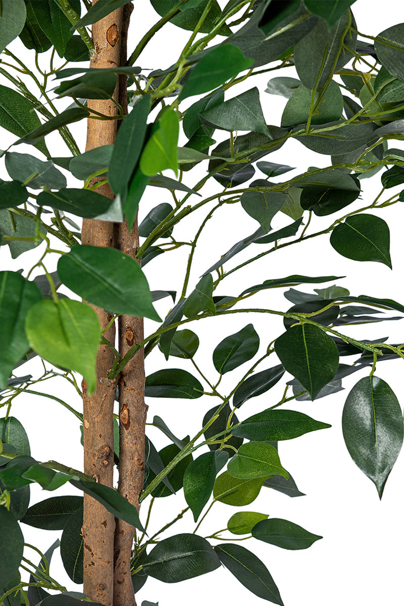 Ficus A: Artificial Ficus Tree with Realistic Trunk and Silk Leaves