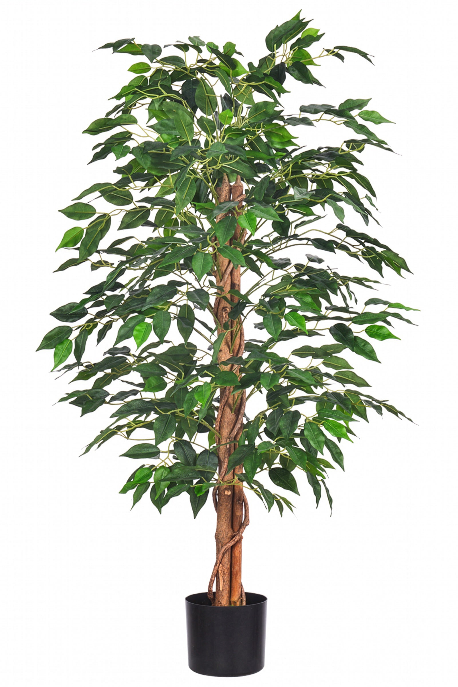 Ficus B: Artificial Ficus Tree with Cascading Vines and Silk Leaves