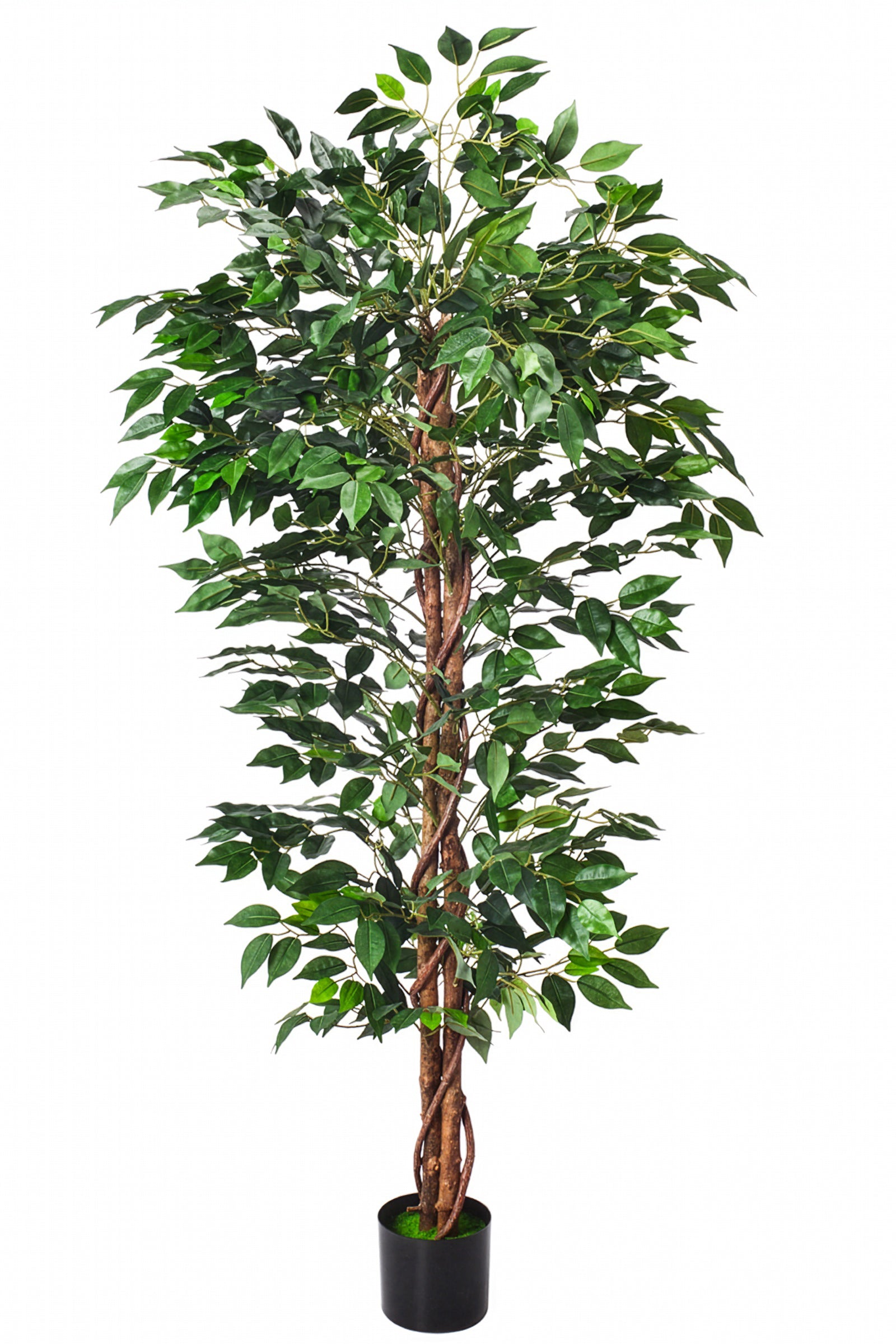 Ficus B: Artificial Ficus Tree with Cascading Vines and Silk Leaves