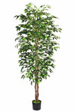 Ficus B: Artificial Ficus Tree with Cascading Vines and Silk Leaves