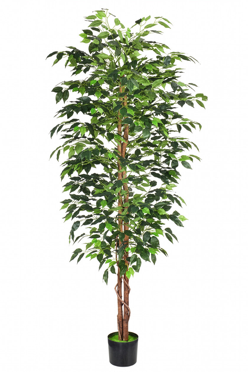 Ficus B: Artificial Ficus Tree with Cascading Vines and Silk Leaves