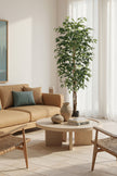 Ficus B: Artificial Ficus Tree with Cascading Vines and Silk Leaves