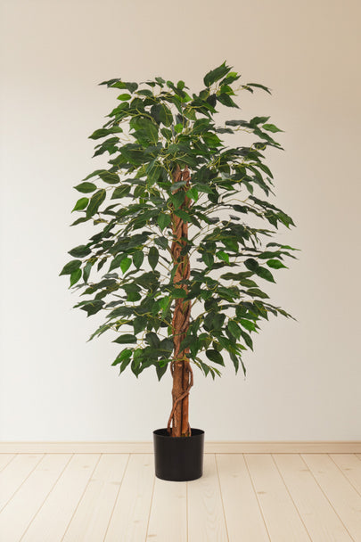 Ficus B: Artificial Ficus Tree with Cascading Vines and Silk Leaves