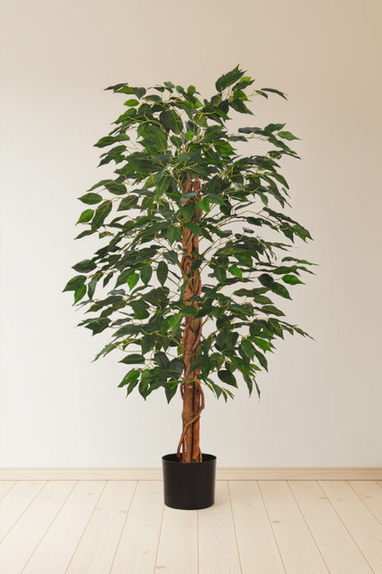 Ficus B: Artificial Ficus Tree with Cascading Vines and Silk Leaves