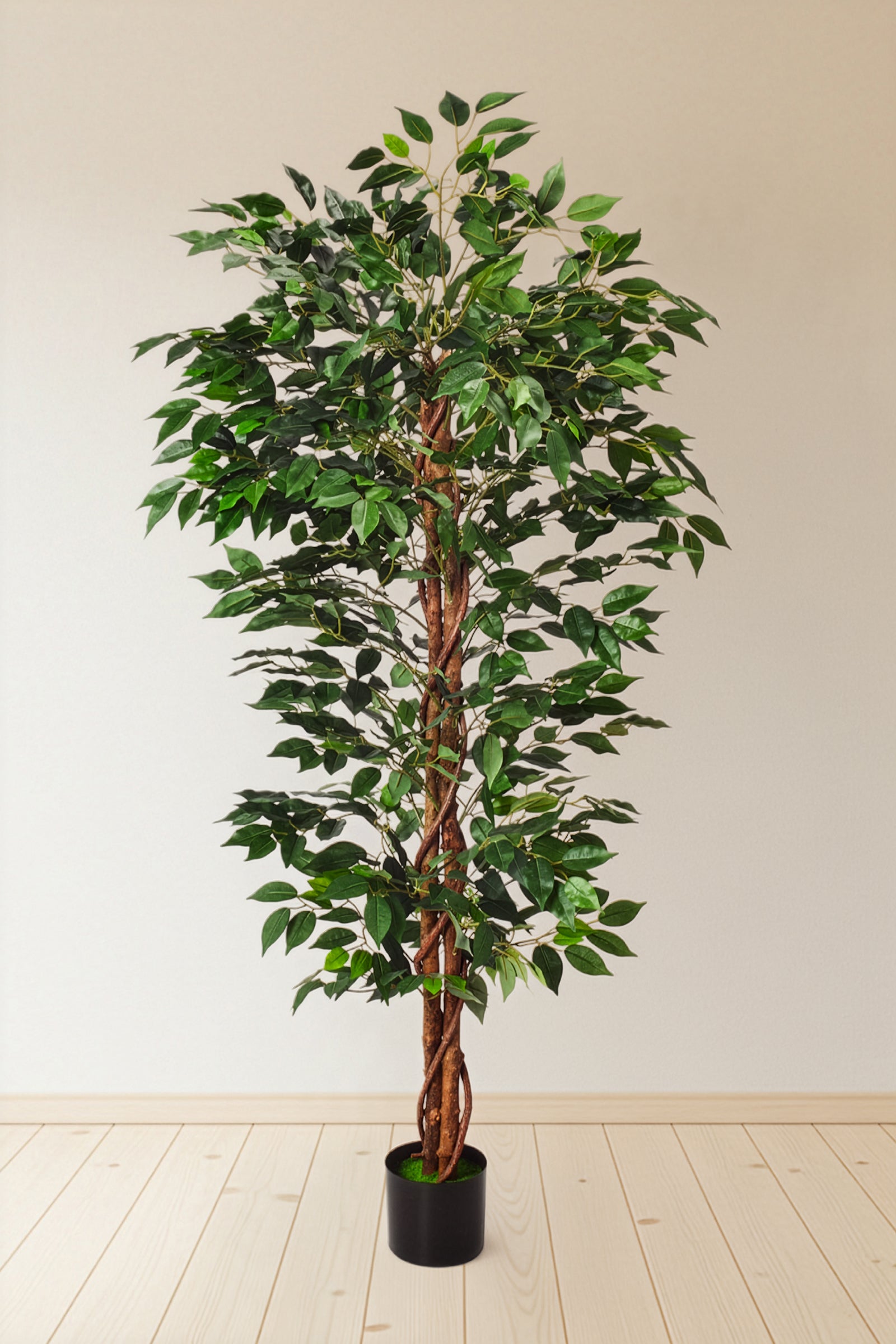 Ficus B: Artificial Ficus Tree with Cascading Vines and Silk Leaves