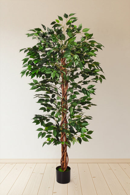 Ficus B: Artificial Ficus Tree with Cascading Vines and Silk Leaves