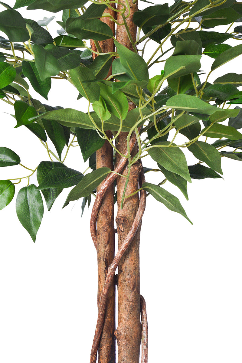 Ficus B: Artificial Ficus Tree with Cascading Vines and Silk Leaves