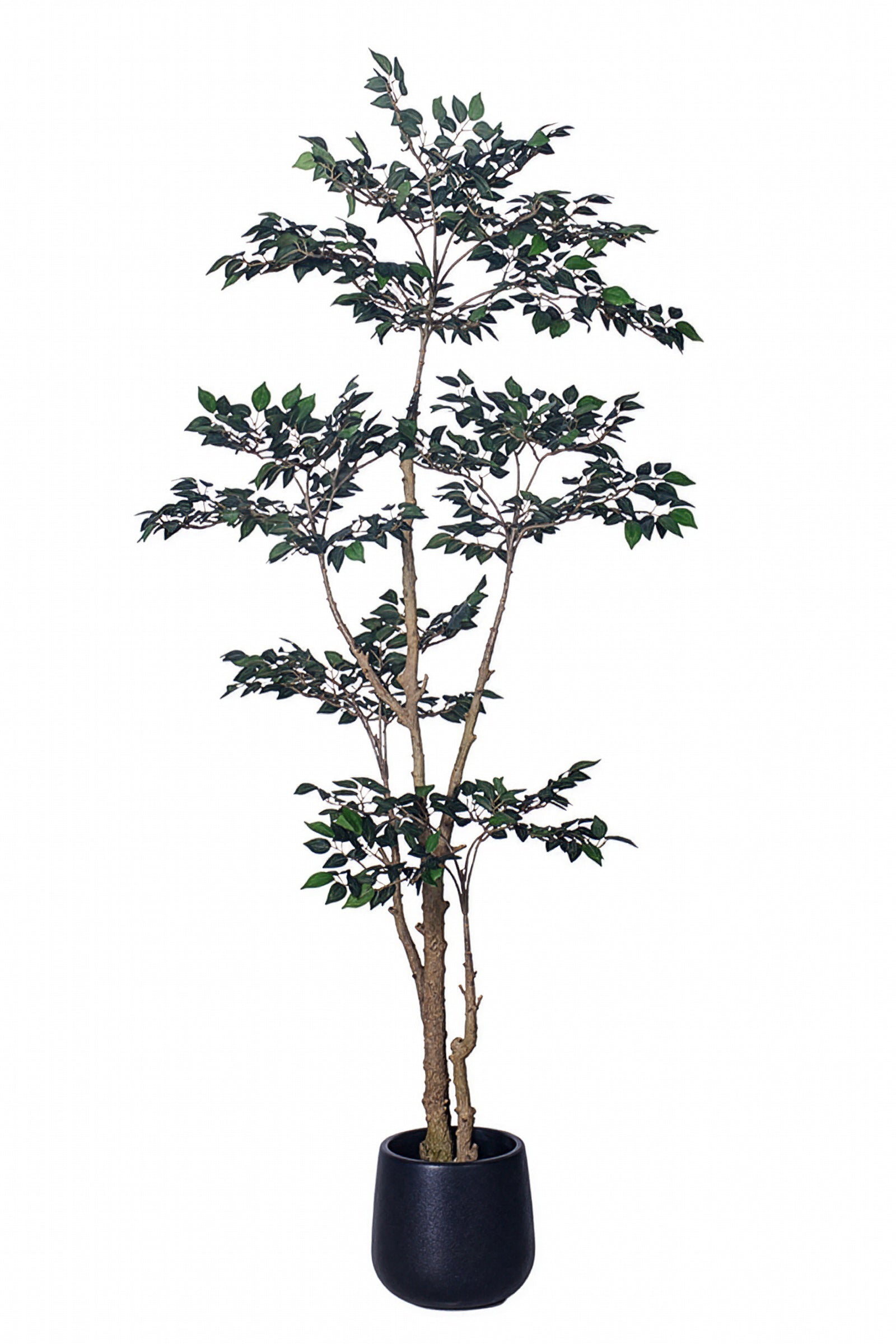 Ficus C: Artificial Ficus Tree with Mini Silk Leaves and Fine Branching