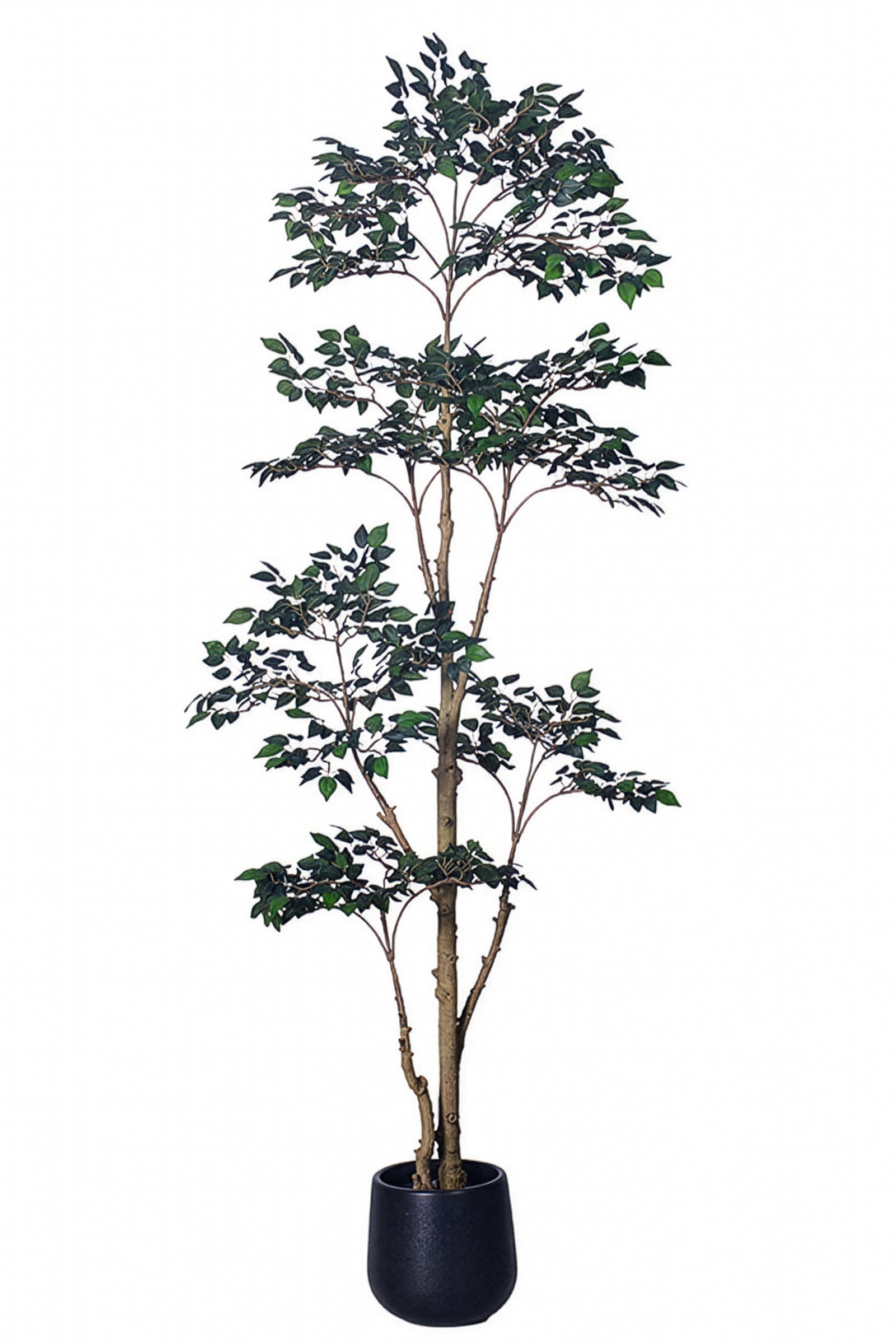 Ficus C: Artificial Ficus Tree with Mini Silk Leaves and Fine Branching