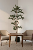 Ficus C: Artificial Ficus Tree with Mini Silk Leaves and Fine Branching