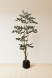 Ficus C: Artificial Ficus Tree with Mini Silk Leaves and Fine Branching