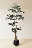 Ficus C: Artificial Ficus Tree with Mini Silk Leaves and Fine Branching