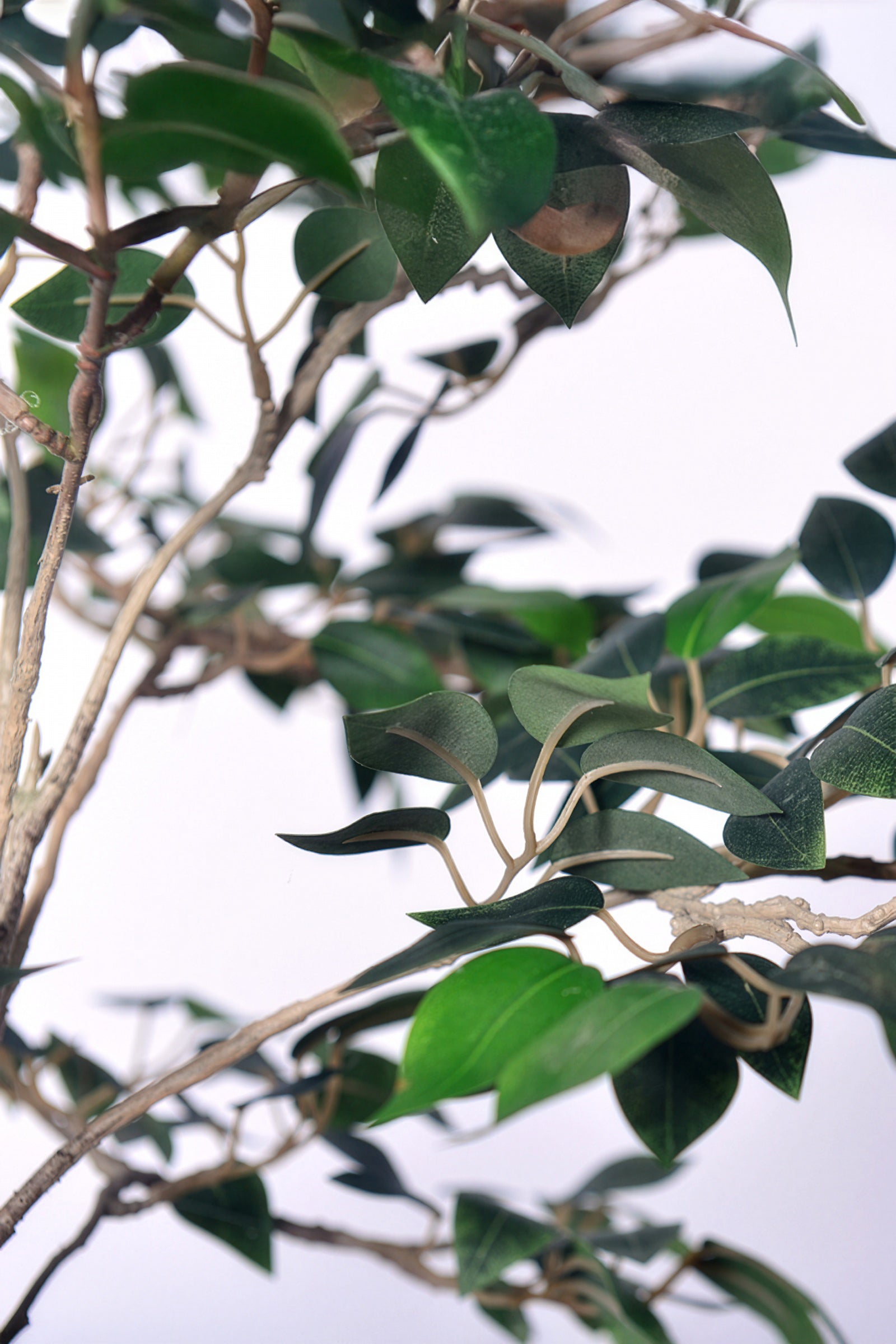 Ficus C: Artificial Ficus Tree with Mini Silk Leaves and Fine Branching