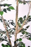 Ficus C: Artificial Ficus Tree with Mini Silk Leaves and Fine Branching