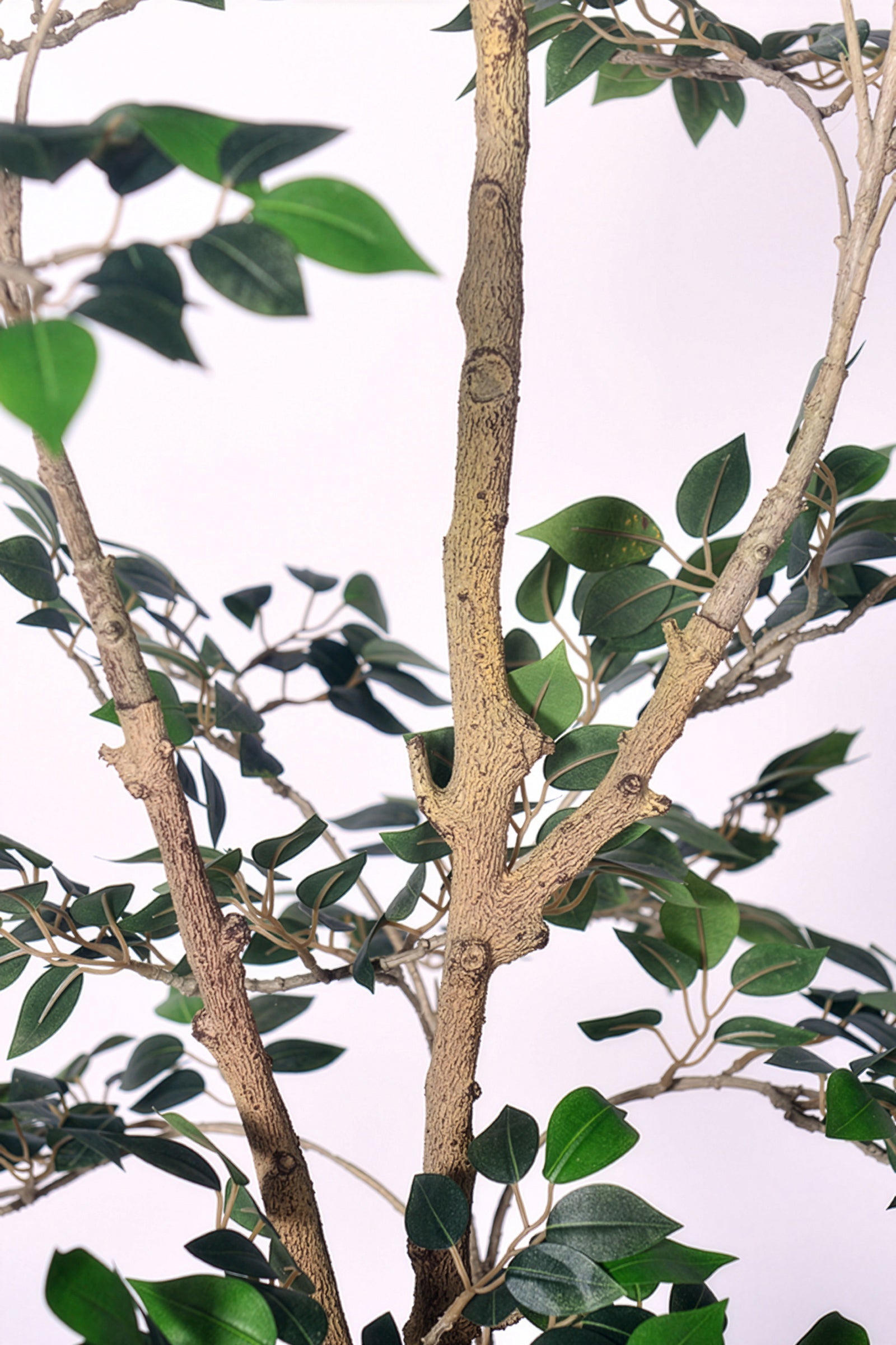 Ficus C: Artificial Ficus Tree with Mini Silk Leaves and Fine Branching