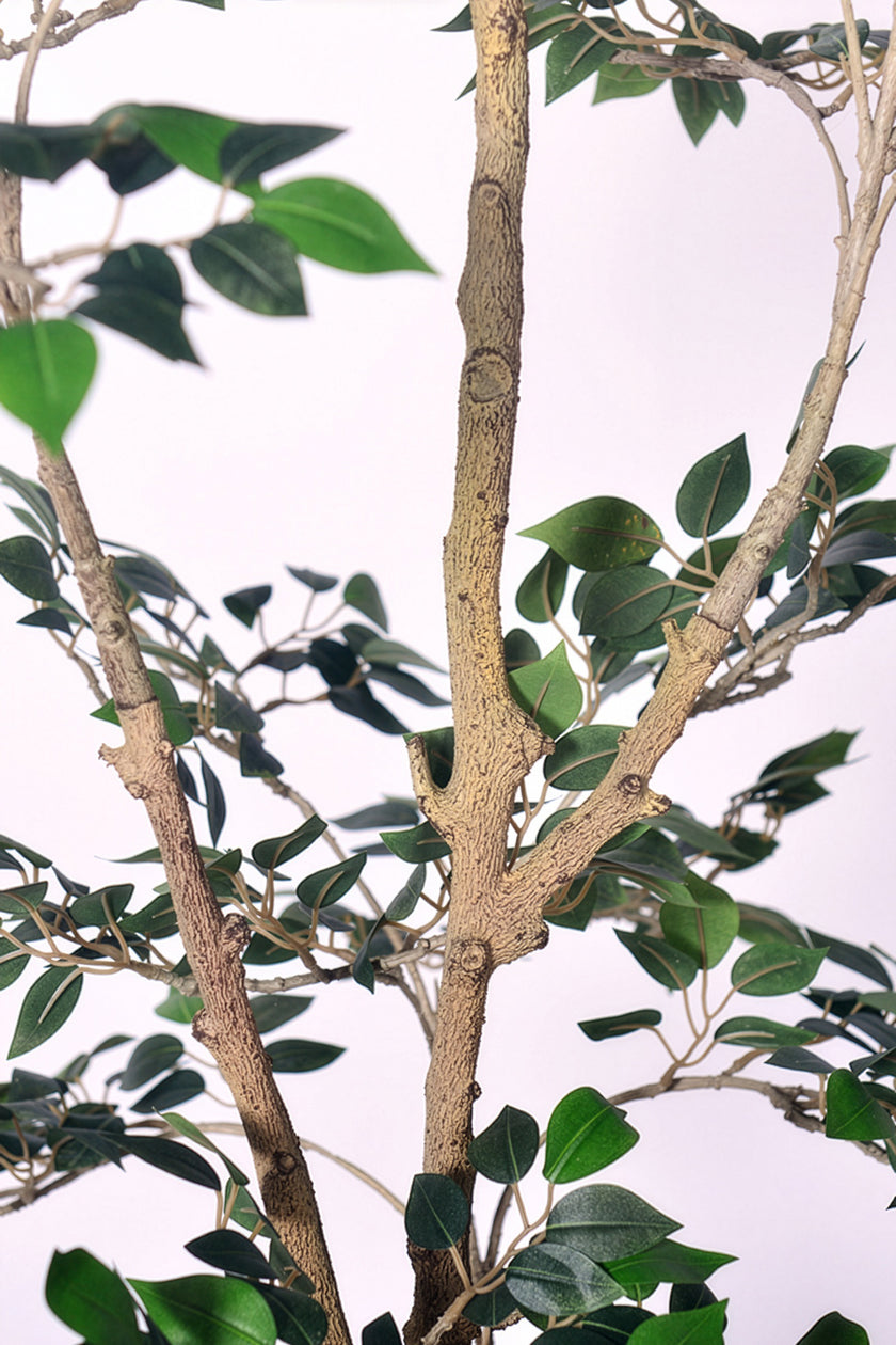 Ficus C: Artificial Ficus Tree with Mini Silk Leaves and Fine Branching