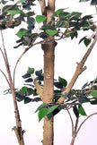 Ficus C: Artificial Ficus Tree with Mini Silk Leaves and Fine Branching