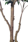Ficus C: Artificial Ficus Tree with Mini Silk Leaves and Fine Branching