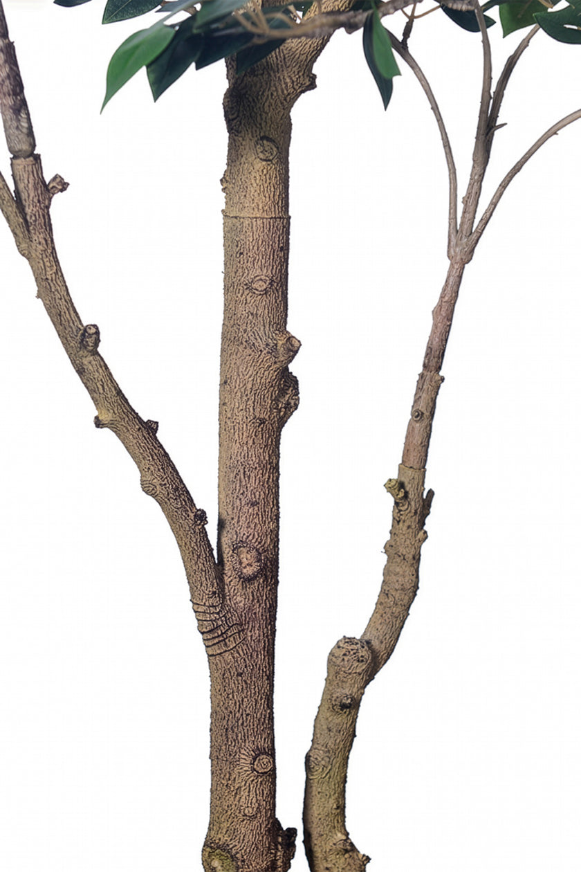 Ficus C: Artificial Ficus Tree with Mini Silk Leaves and Fine Branching