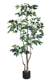 Ficus E: Artificial Ficus Tree with Multiple Branches and Dense Foliage