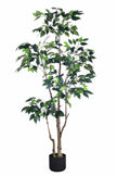 Ficus E: Artificial Ficus Tree with Multiple Branches and Dense Foliage