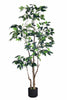 Ficus E: Artificial Ficus Tree with Multiple Branches and Dense Foliage