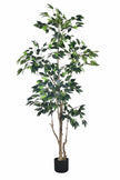 Ficus E: Artificial Ficus Tree with Multiple Branches and Dense Foliage
