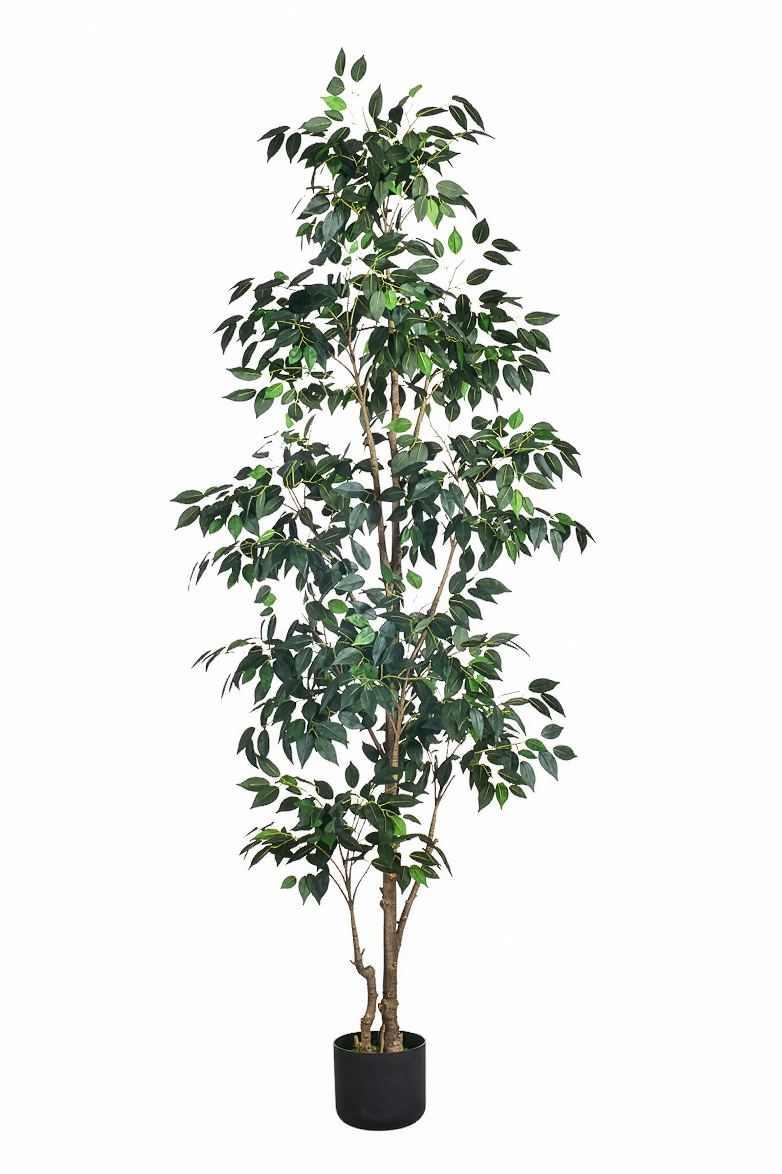 Ficus E: Artificial Ficus Tree with Multiple Branches and Dense Foliage