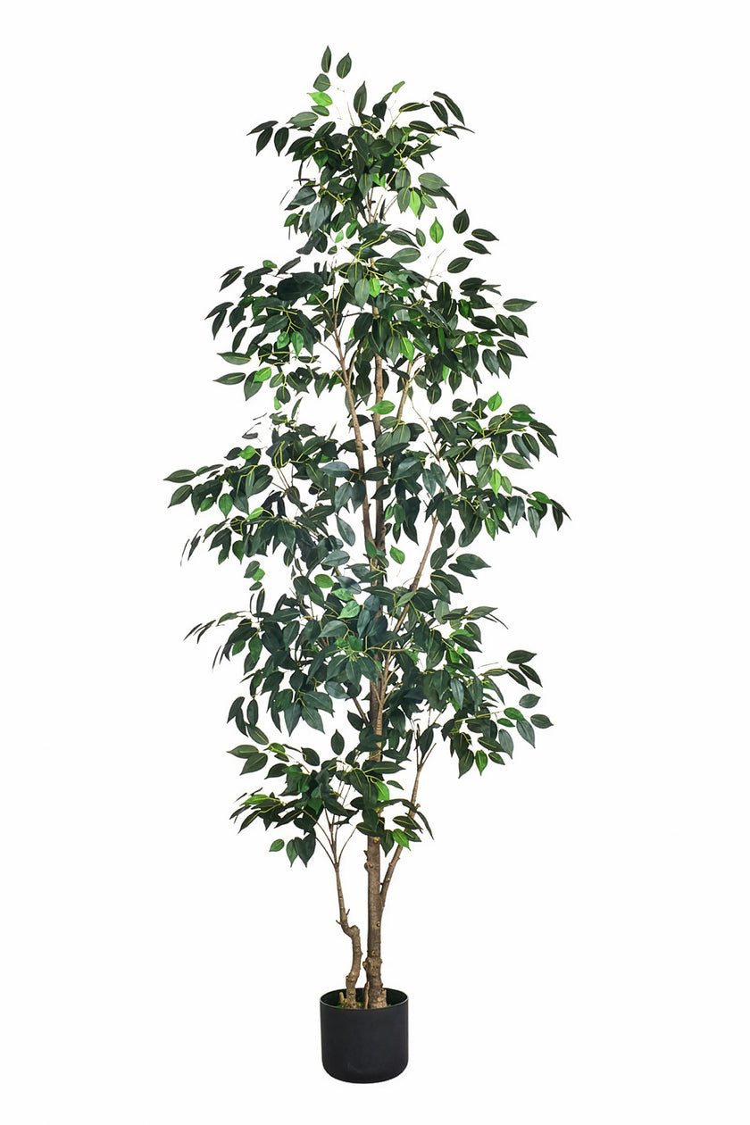 Ficus E: Artificial Ficus Tree with Multiple Branches and Dense Foliage