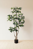 Ficus E: Artificial Ficus Tree with Multiple Branches and Dense Foliage
