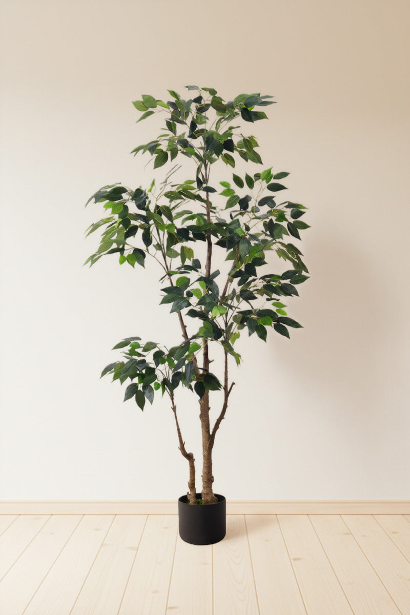 Ficus E: Artificial Ficus Tree with Multiple Branches and Dense Foliage