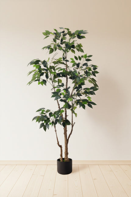 Ficus E: Artificial Ficus Tree with Multiple Branches and Dense Foliage