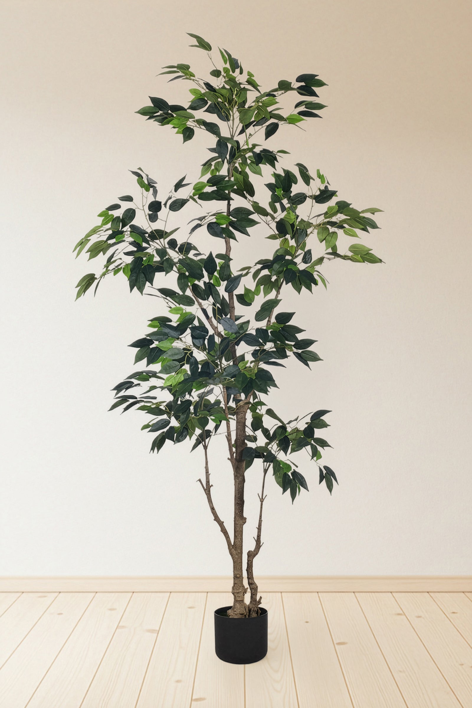 Ficus E: Artificial Ficus Tree with Multiple Branches and Dense Foliage