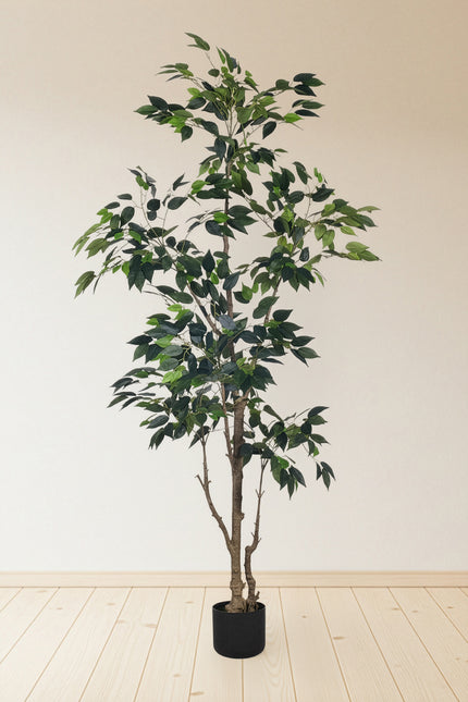 Ficus E: Artificial Ficus Tree with Multiple Branches and Dense Foliage