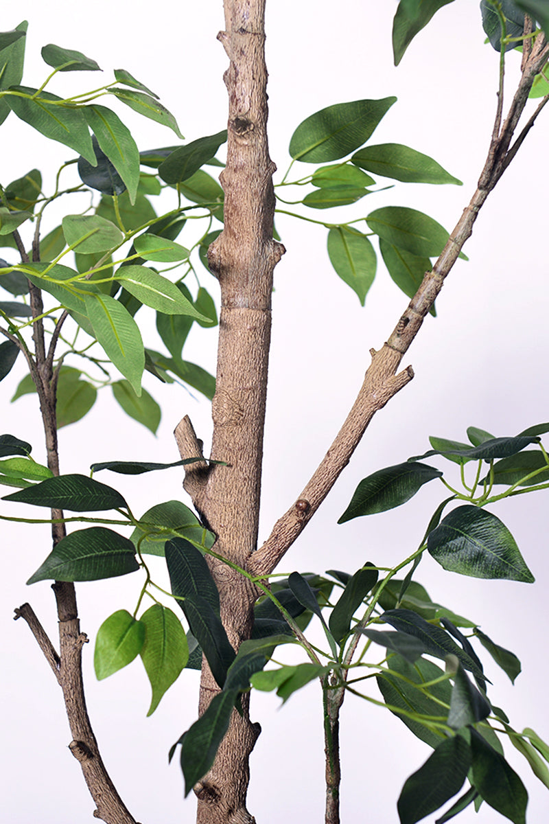 Ficus E: Artificial Ficus Tree with Multiple Branches and Dense Foliage