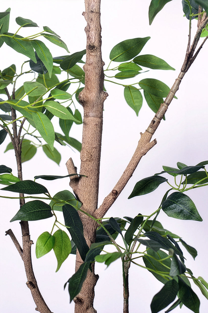 Ficus E: Artificial Ficus Tree with Multiple Branches and Dense Foliage