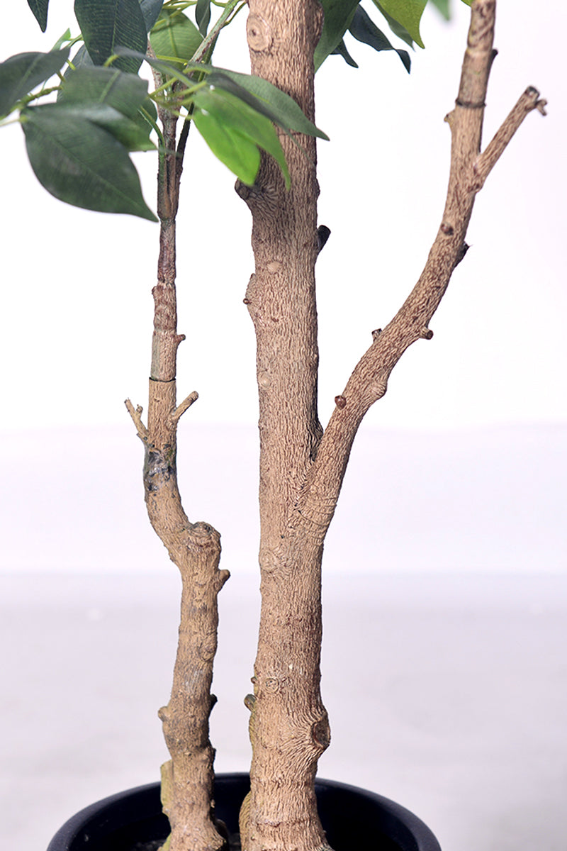 Ficus E: Artificial Ficus Tree with Multiple Branches and Dense Foliage