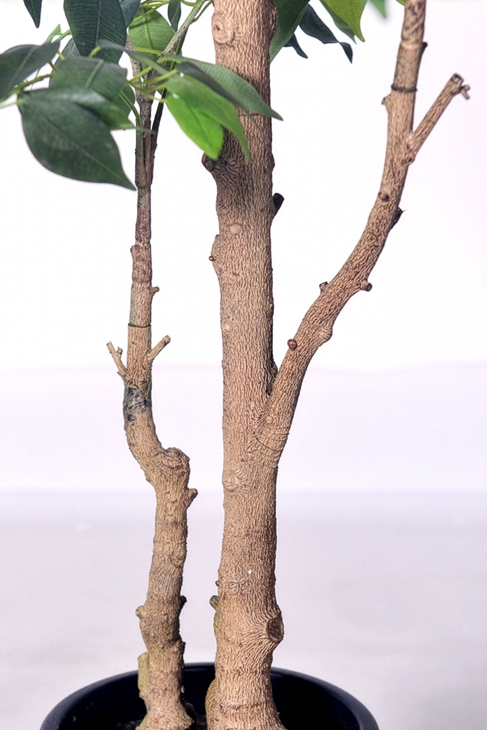 Ficus E: Artificial Ficus Tree with Multiple Branches and Dense Foliage