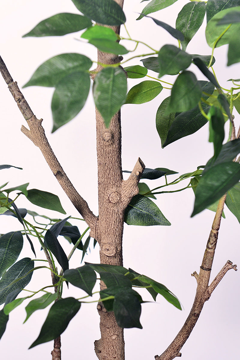 Ficus E: Artificial Ficus Tree with Multiple Branches and Dense Foliage