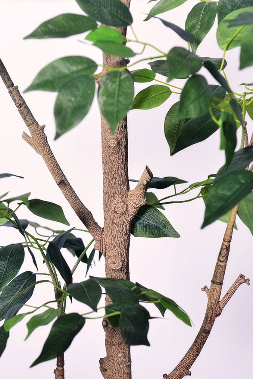 Ficus E: Artificial Ficus Tree with Multiple Branches and Dense Foliage