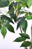 Ficus E: Artificial Ficus Tree with Multiple Branches and Dense Foliage
