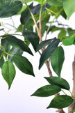 Ficus E: Artificial Ficus Tree with Multiple Branches and Dense Foliage