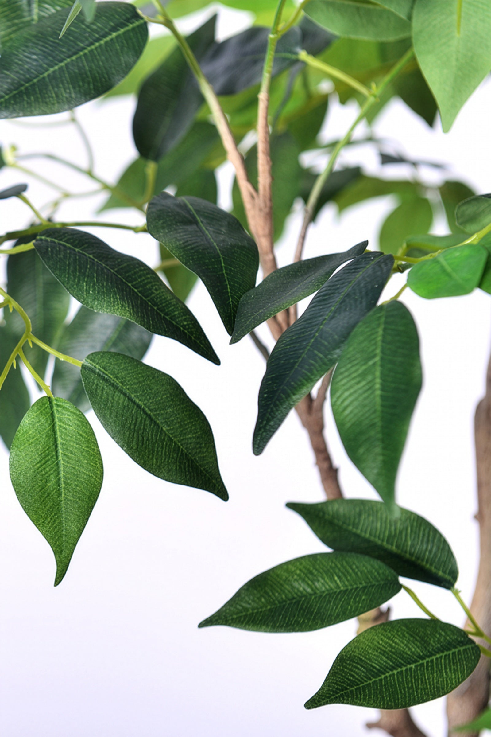 Ficus E: Artificial Ficus Tree with Multiple Branches and Dense Foliage