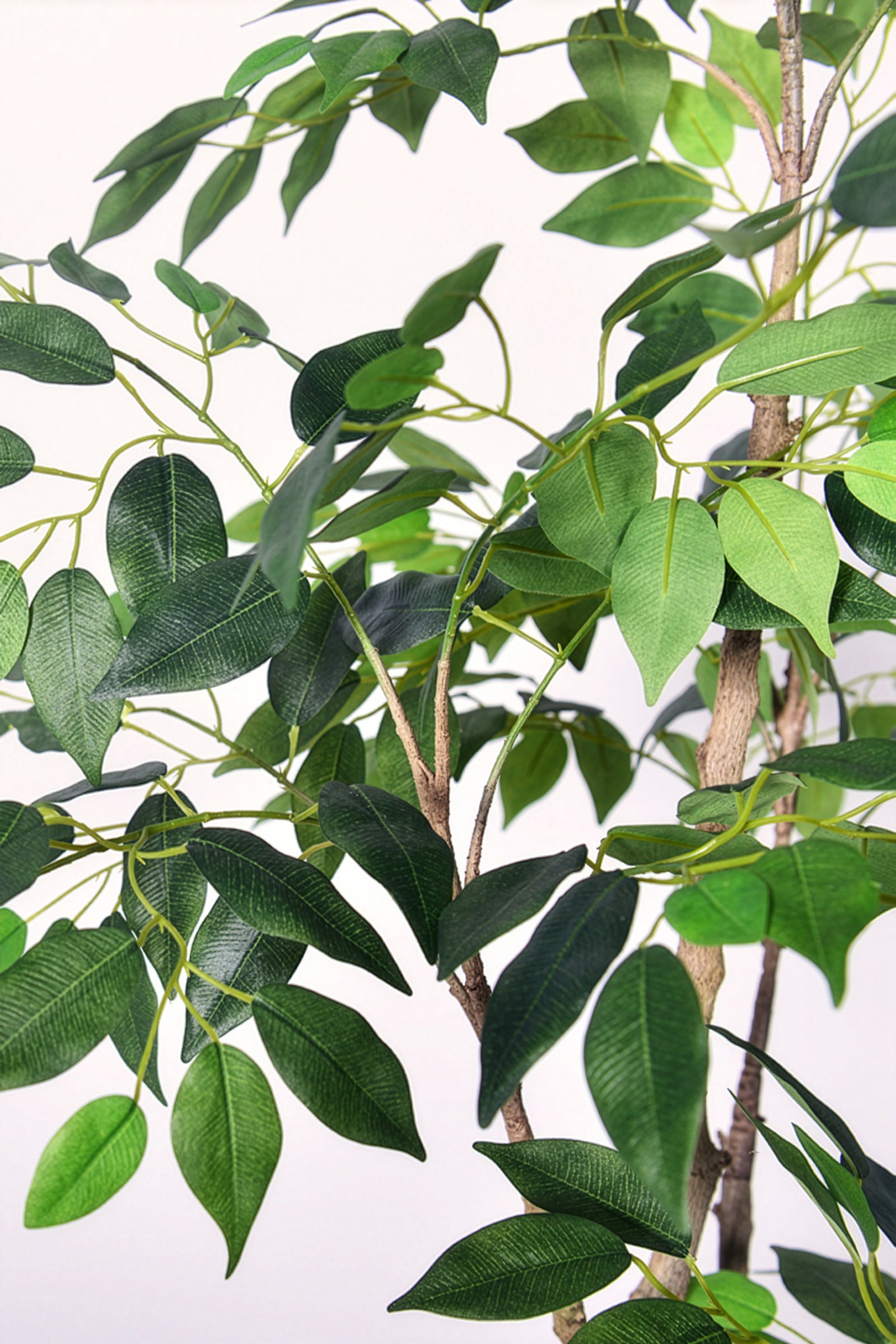 Ficus E: Artificial Ficus Tree with Multiple Branches and Dense Foliage