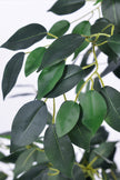 Ficus E: Artificial Ficus Tree with Multiple Branches and Dense Foliage