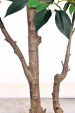 Ficus E: Artificial Ficus Tree with Multiple Branches and Dense Foliage
