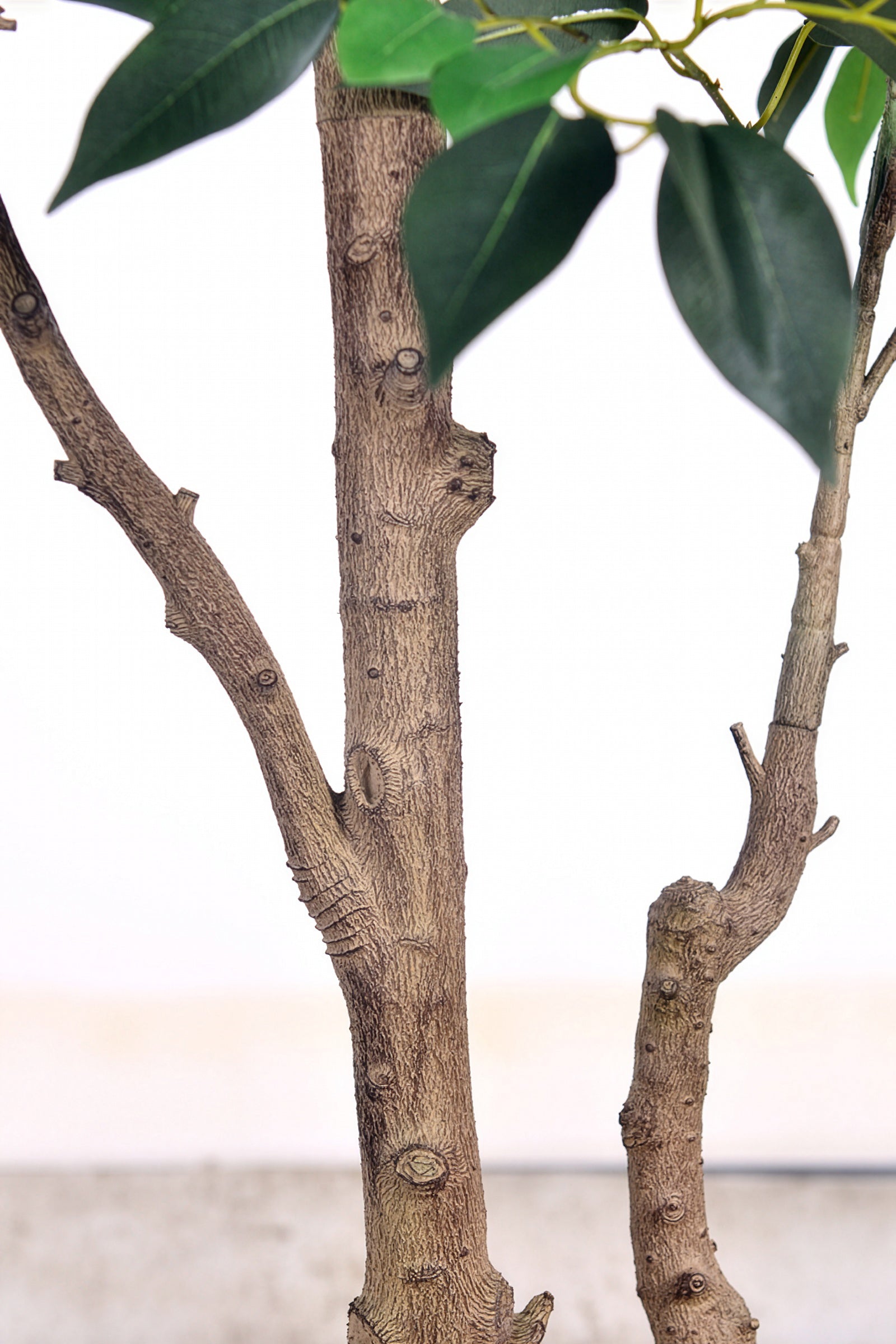 Ficus E: Artificial Ficus Tree with Multiple Branches and Dense Foliage
