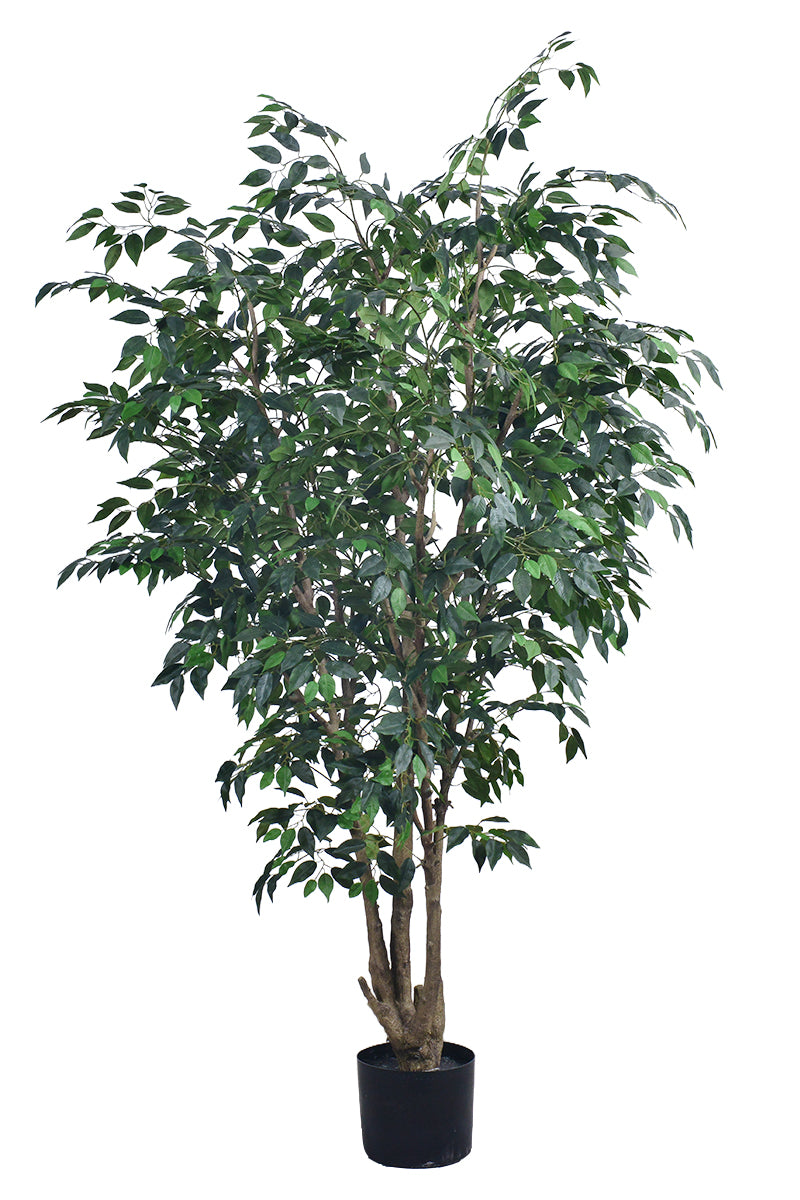 Ficus F 2.3m: Large Artificial Banyan-Style Ficus Tree with Aged Trunk