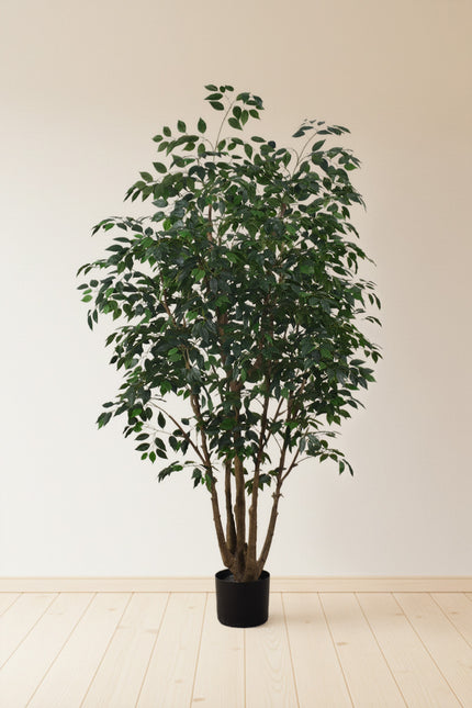 Ficus F 2.3m: Large Artificial Banyan-Style Ficus Tree with Aged Trunk