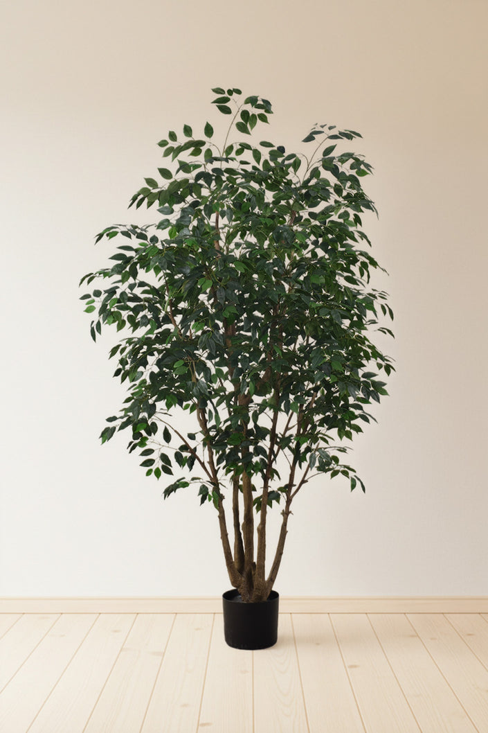 Ficus F 2.3m: Large Artificial Banyan-Style Ficus Tree with Aged Trunk